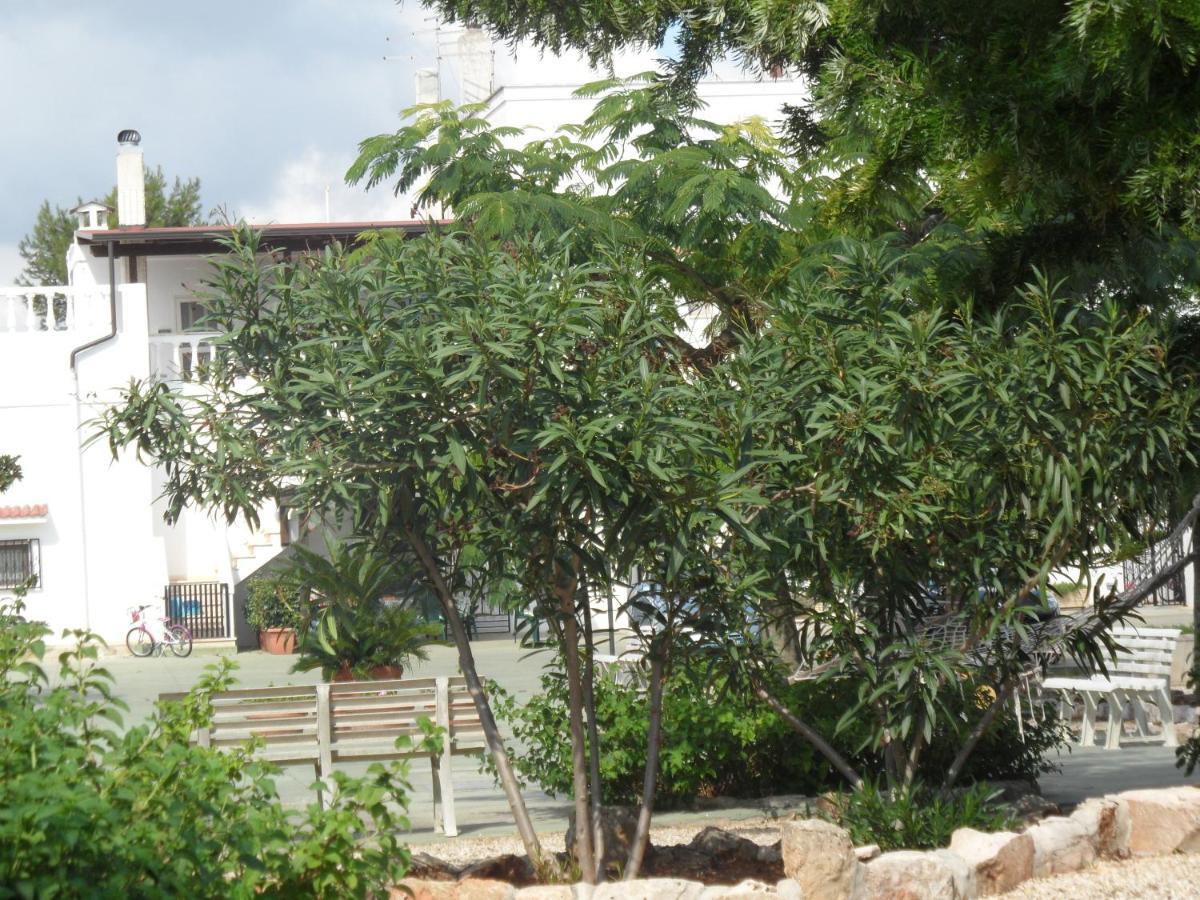 Azienda Agrituristica Masseria Campi San Vito dei Normanni Zewnętrze zdjęcie