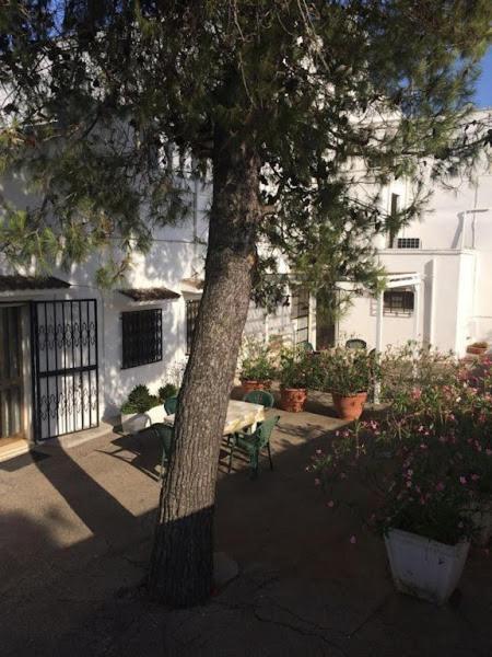 Azienda Agrituristica Masseria Campi San Vito dei Normanni Zewnętrze zdjęcie